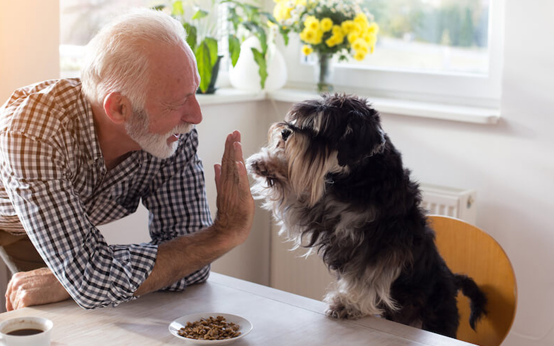 Los beneficios de tener una mascota para la salud de las personas mayores superan con creces el trabajo que supone tener una.